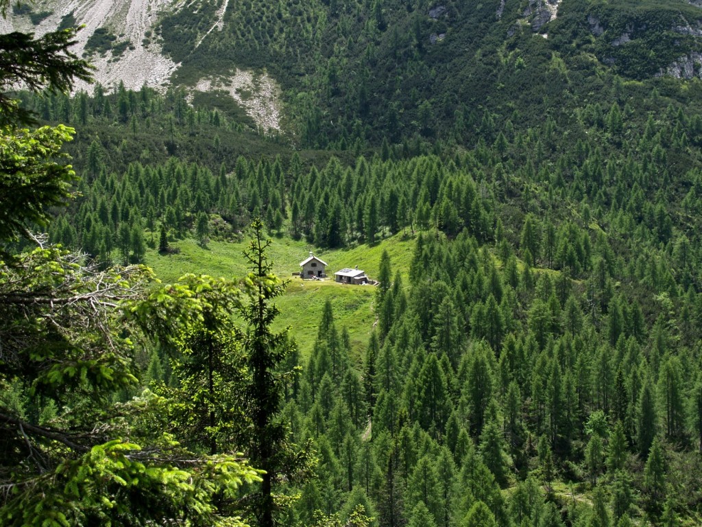 Cimolais_Forni 85_2